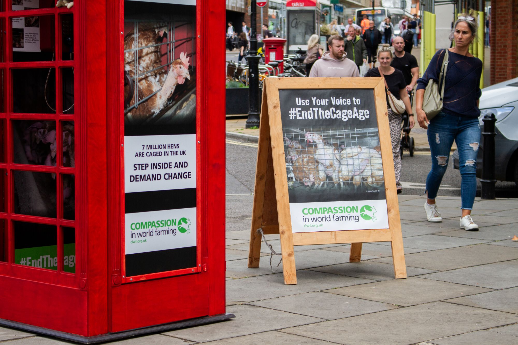 phone box hens